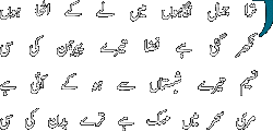 Tera Jamal