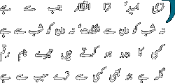 Teri Umeed